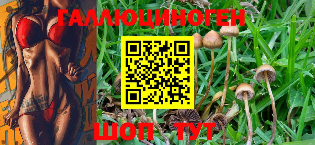 Псилоцибиновые грибы ЛСД Псков