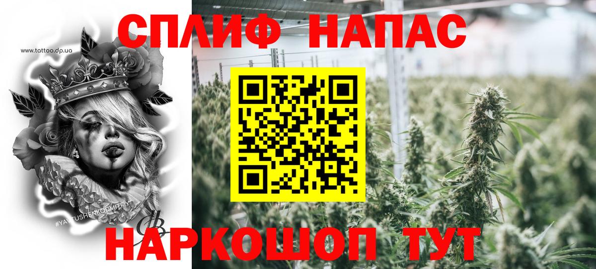 Бошки Шишки семена  Бошки марихуана план  Вход с VPN  Псков  Марихуана Ganja 